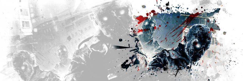 Skulz banner