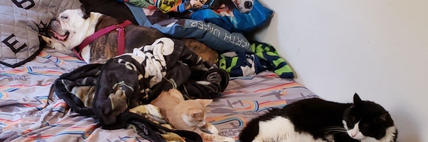 Jenibug79's profile banner image