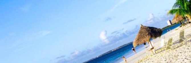 Brooke_Teeney's profile banner image