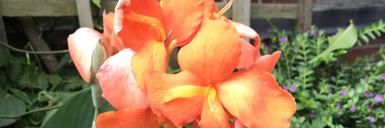 Nathan Thompson banner