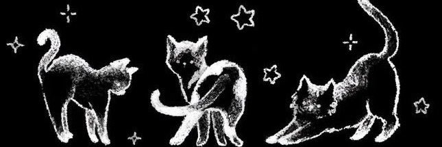 Mirenoia's profile banner image