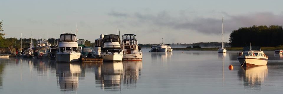 pleadwell's profile banner image