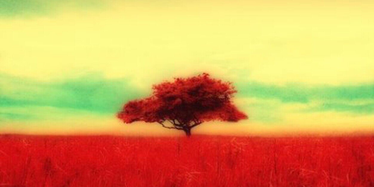 veraokto's profile banner image