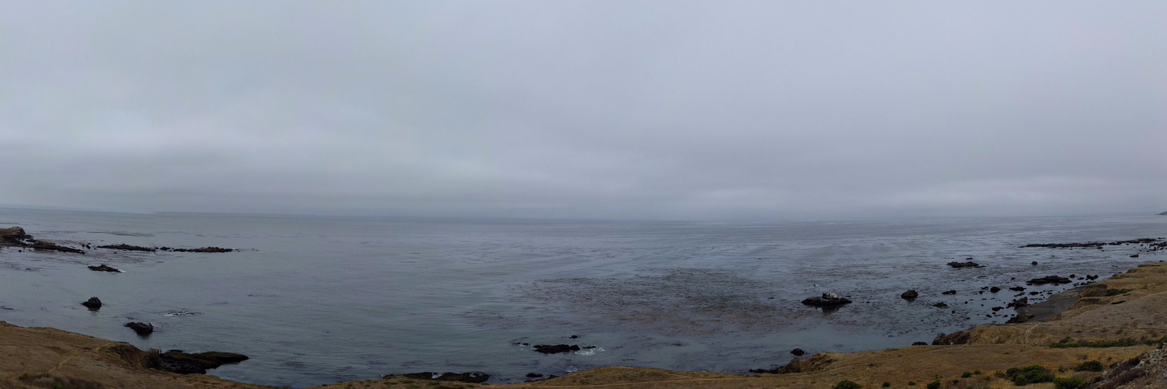 reddogg's profile banner image