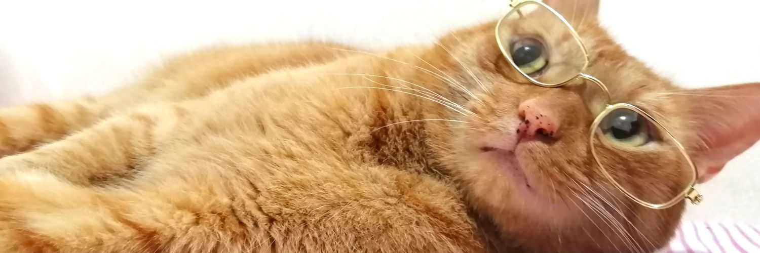 chattedeguisee's profile banner image