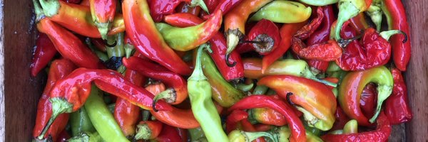 AlanaSarah Profile Banner