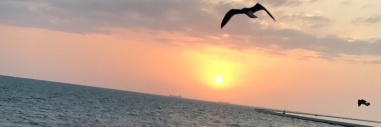 maymonahn's profile banner image