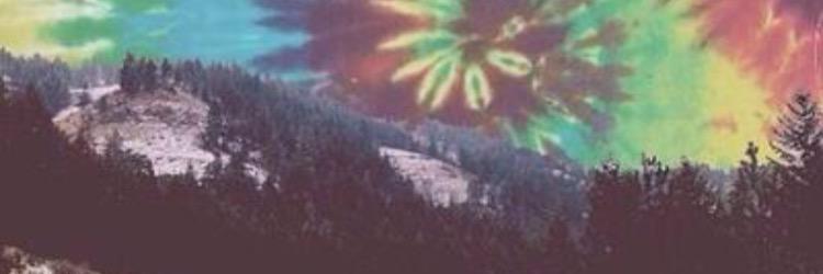 Katefiddy banner
