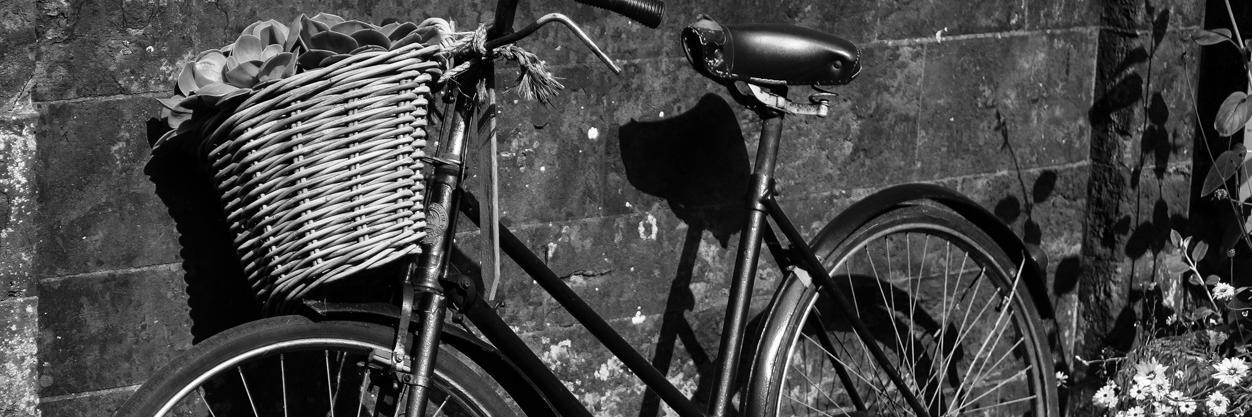 MonochromeMuse's profile banner image