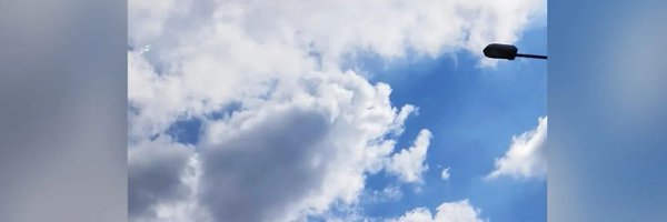 irishfoxer Profile Banner