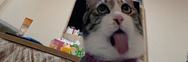 ShmediumChungus Profile Banner