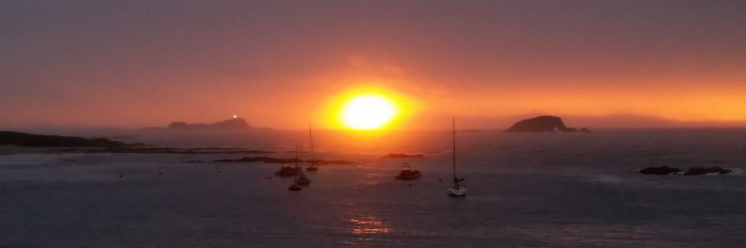 sonvabeach's profile banner image