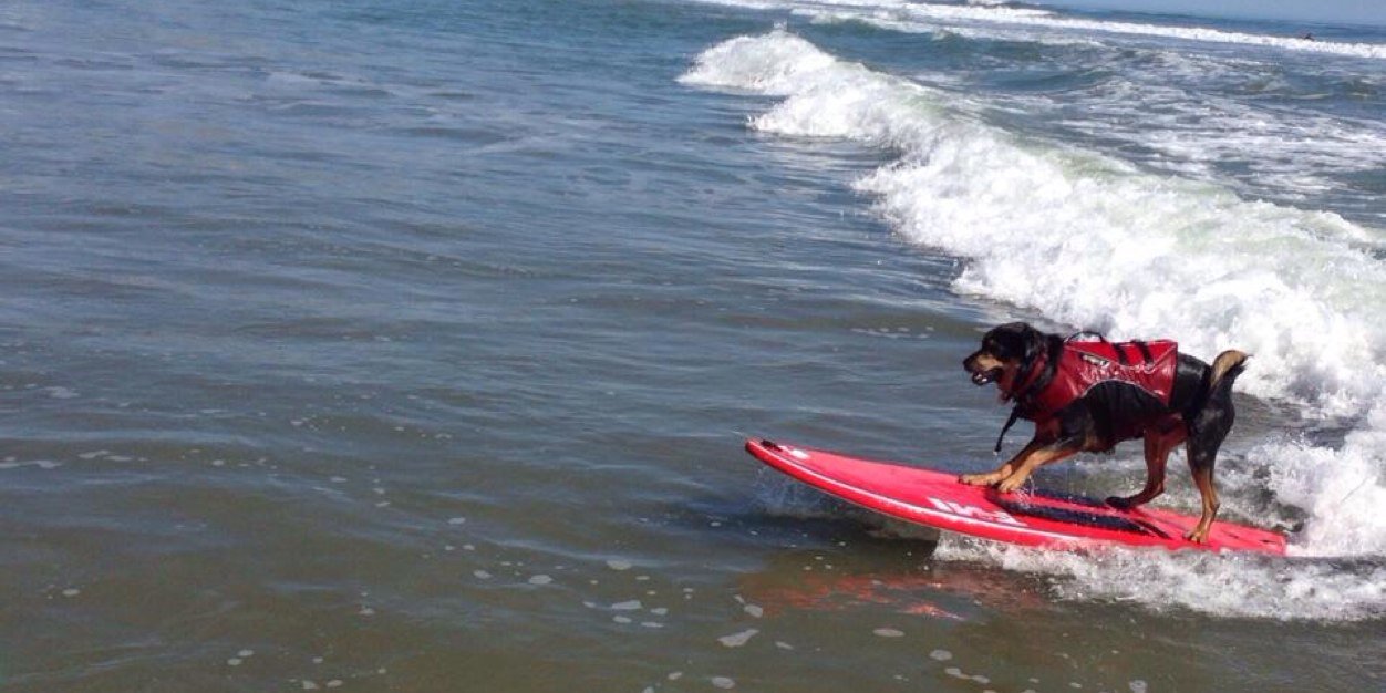 JediSurfs's profile banner image