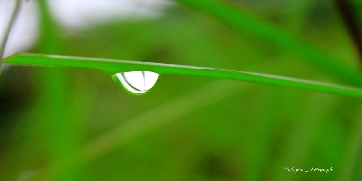 IdaFarida17's profile banner image