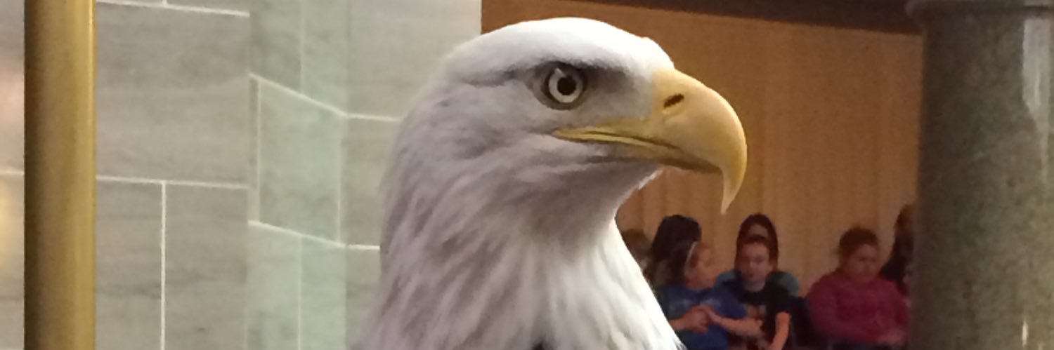 Steven Anthony banner