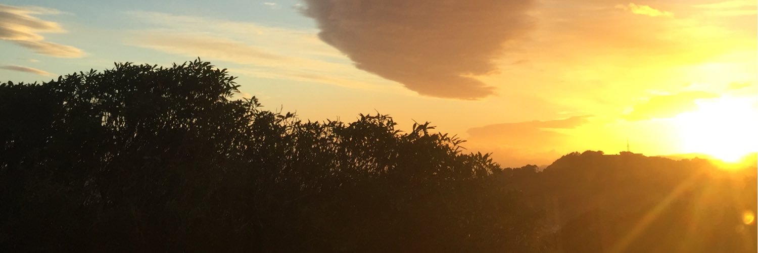 jadlnz's profile banner image