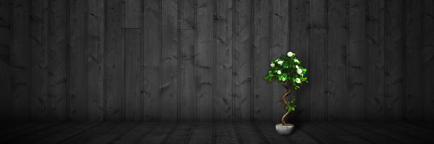 hksa87's profile banner image