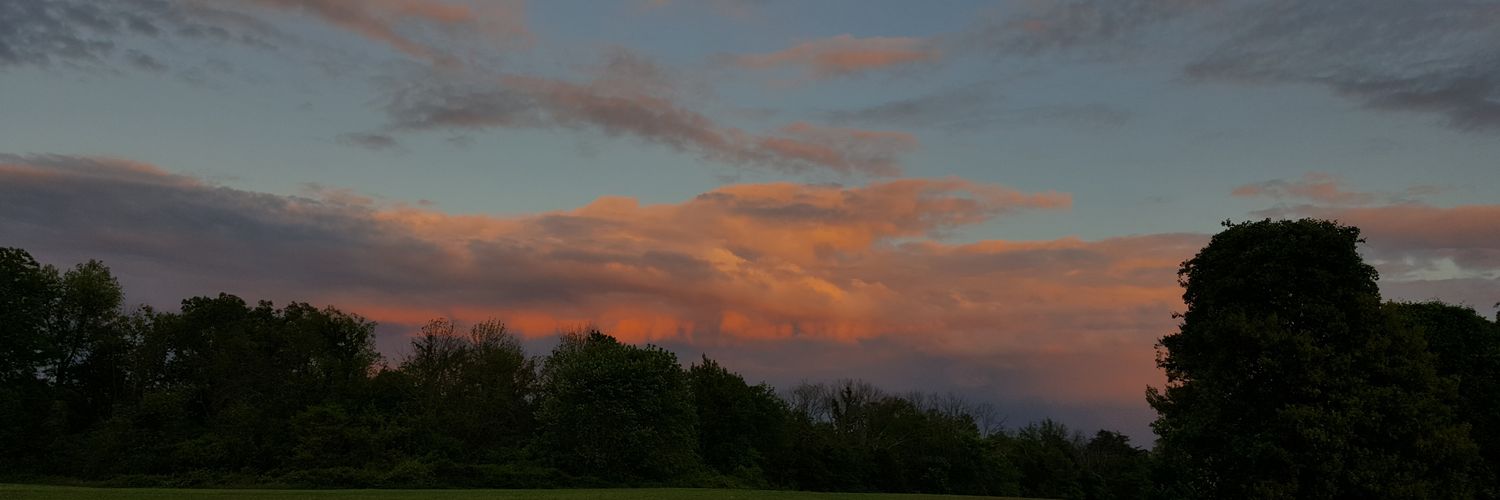 TyInman's profile banner image