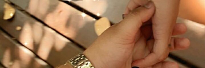 polyanx's profile banner image