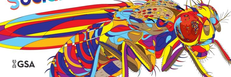 faleke_hammed's profile banner image