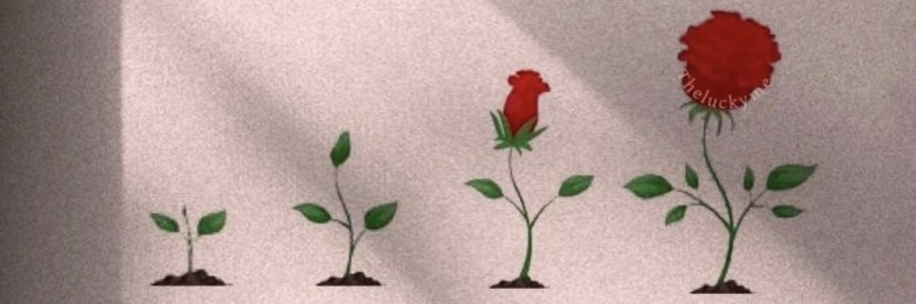 noirsunflwr's profile banner image