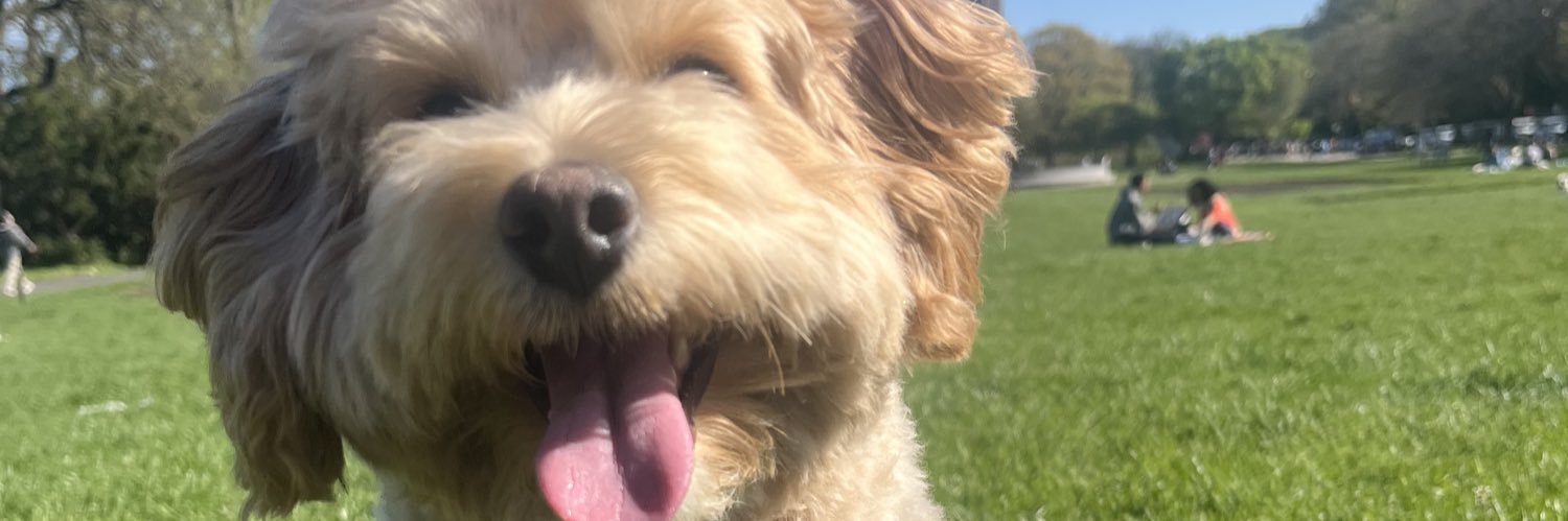 ckerns_'s profile banner image