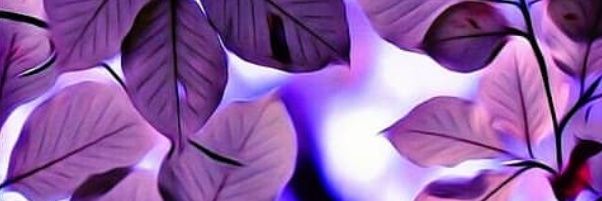 karenvane129's profile banner image