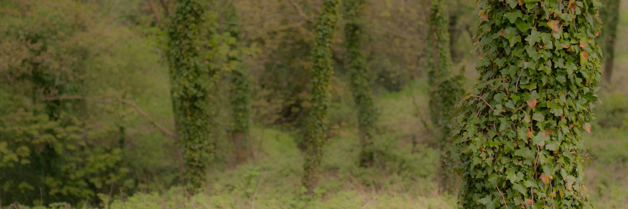 alongtheline1's profile banner image
