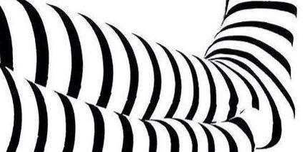 Laura Casas banner