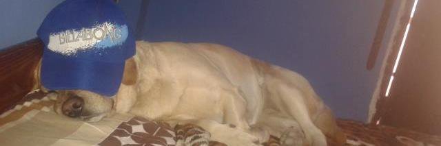 Pablo Gabriel banner