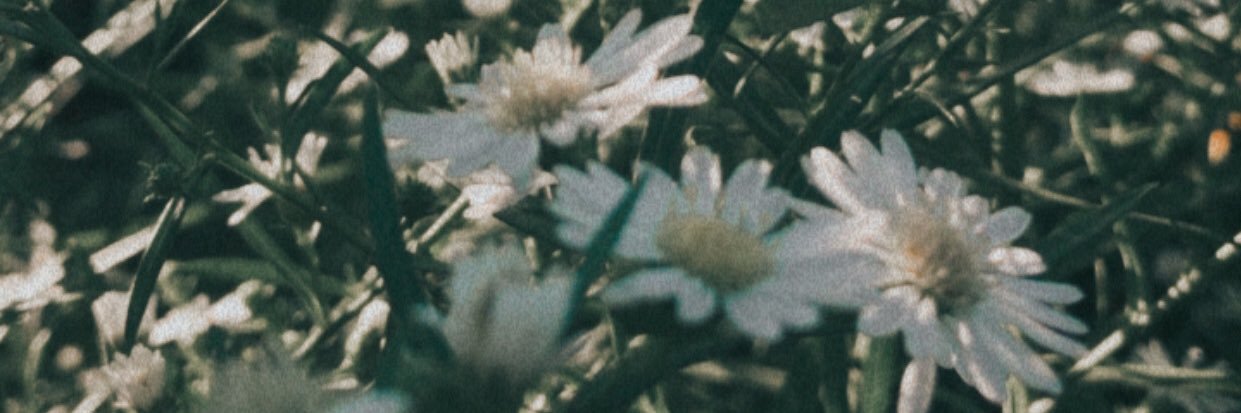 _Neumann10's profile banner image