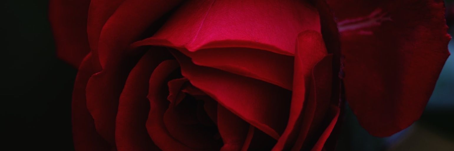 imamxcre's profile banner image