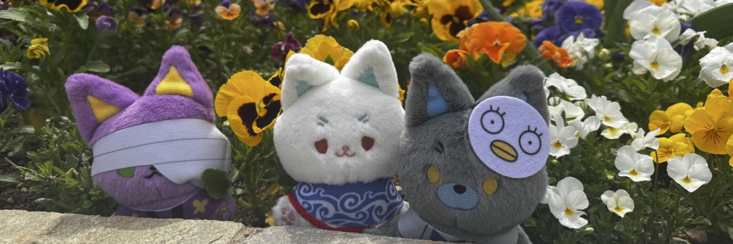 s__ui__s__ui's profile banner image
