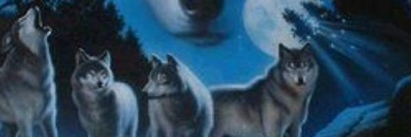 ShadowDemon86's profile banner image