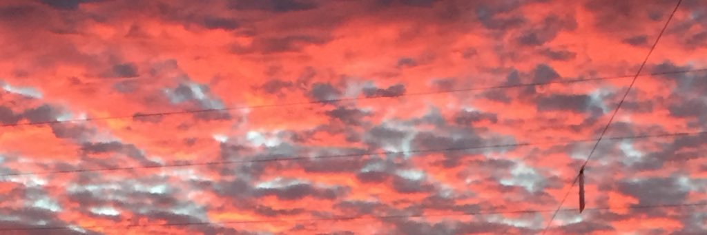 Alisha King M.Ed banner