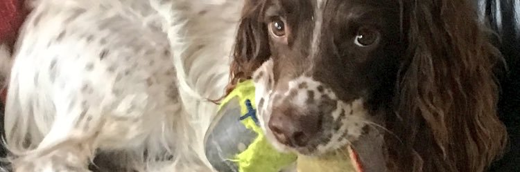 Clive Winward banner