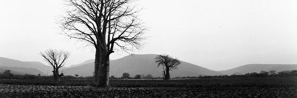 isabel_venter's profile banner image