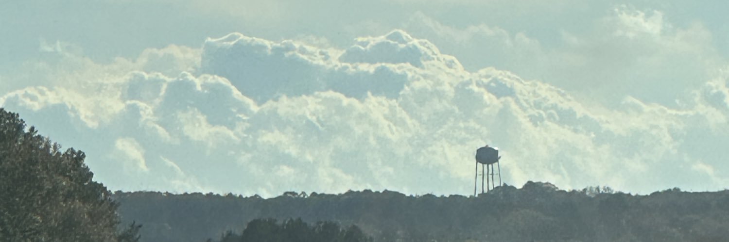 SageDoms's profile banner image