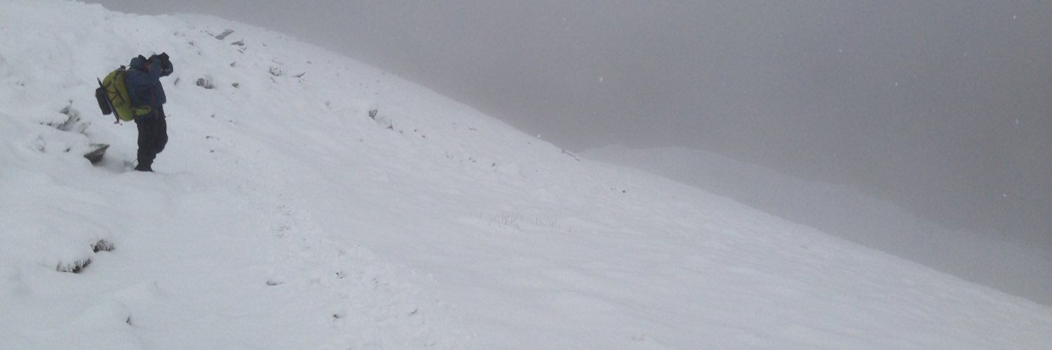 Davo_S's profile banner image