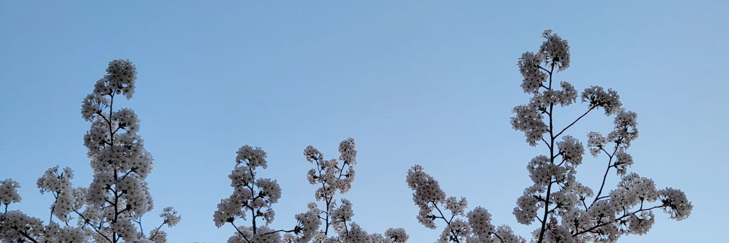 lmnb3020's profile banner image