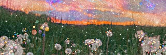 sarah_cavaa's profile banner image