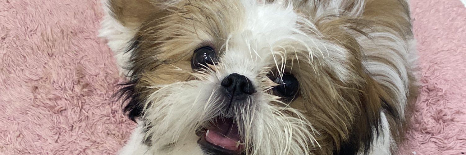 rafacarballomm's profile banner image