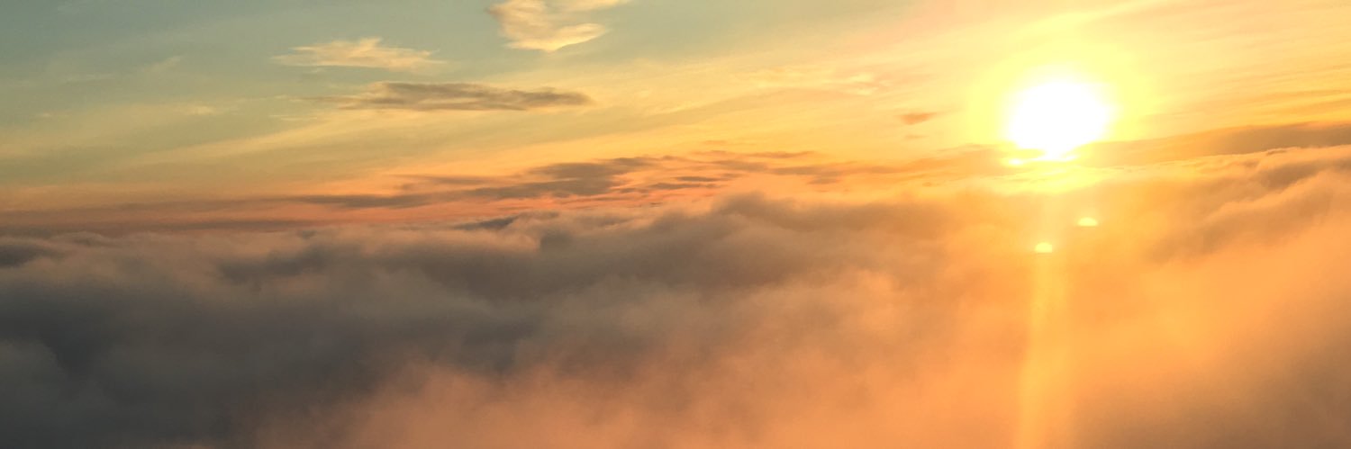 DalTracy's profile banner image