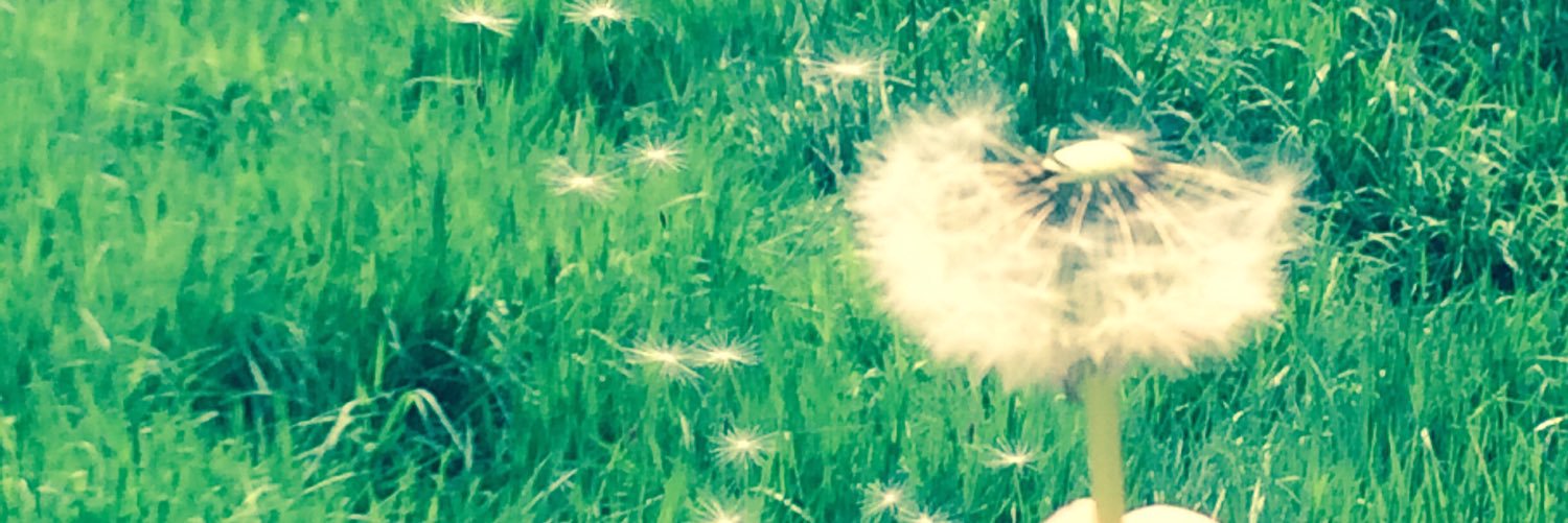 power_ellie's profile banner image