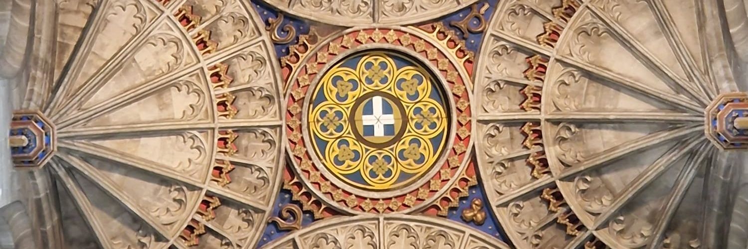 Dr Asta Medisauskaite banner