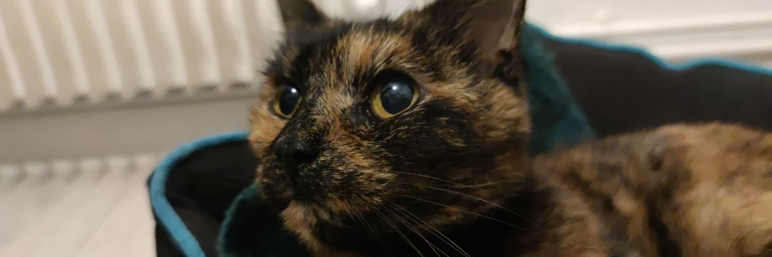 s0rciere_'s profile banner image