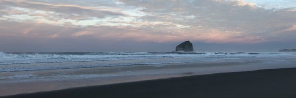 mehryiris Profile Banner
