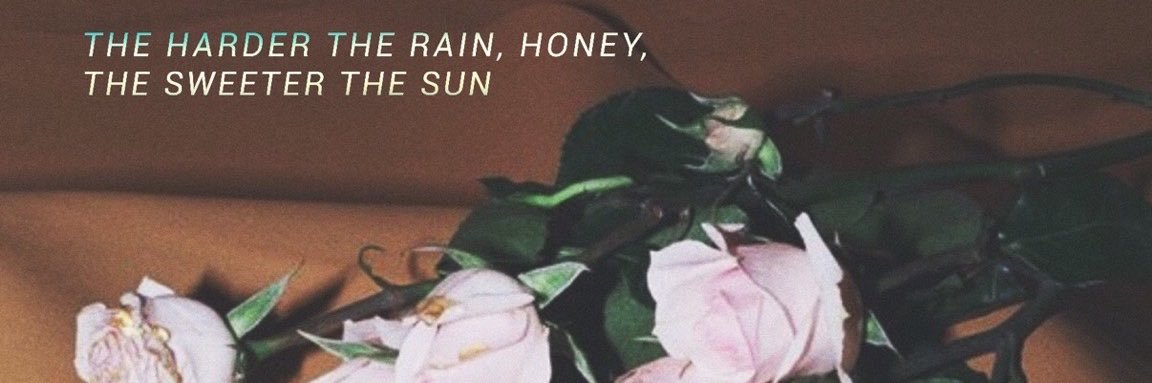 courtney banner