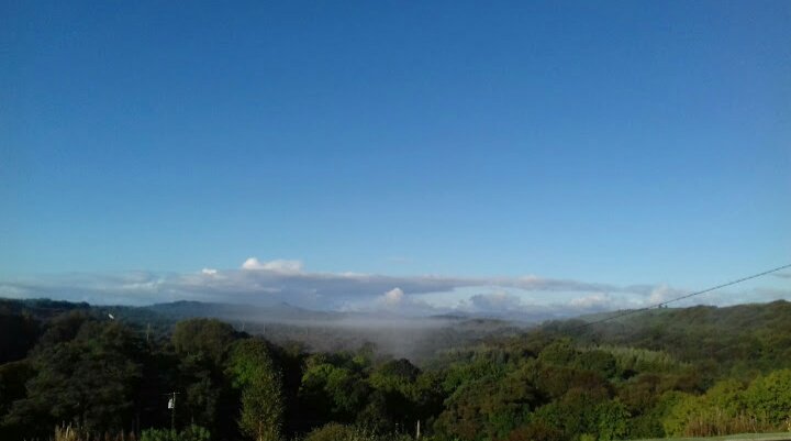 MaryDullea's profile banner image