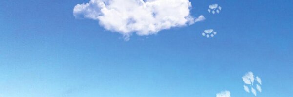 _PatriciaAnaya Profile Banner